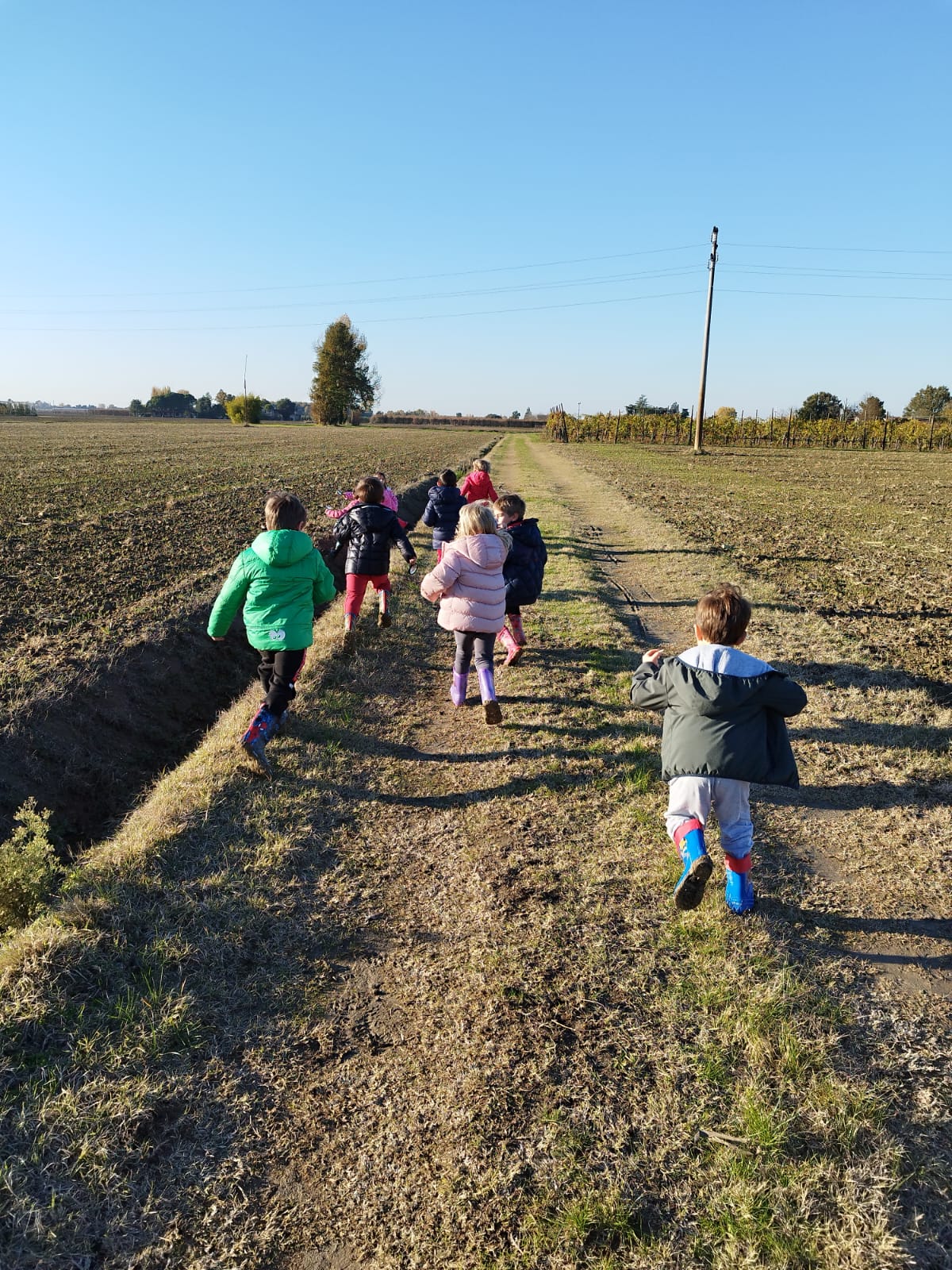 Ambiente della Scuola dell'Infanzia di Pieve Cesato