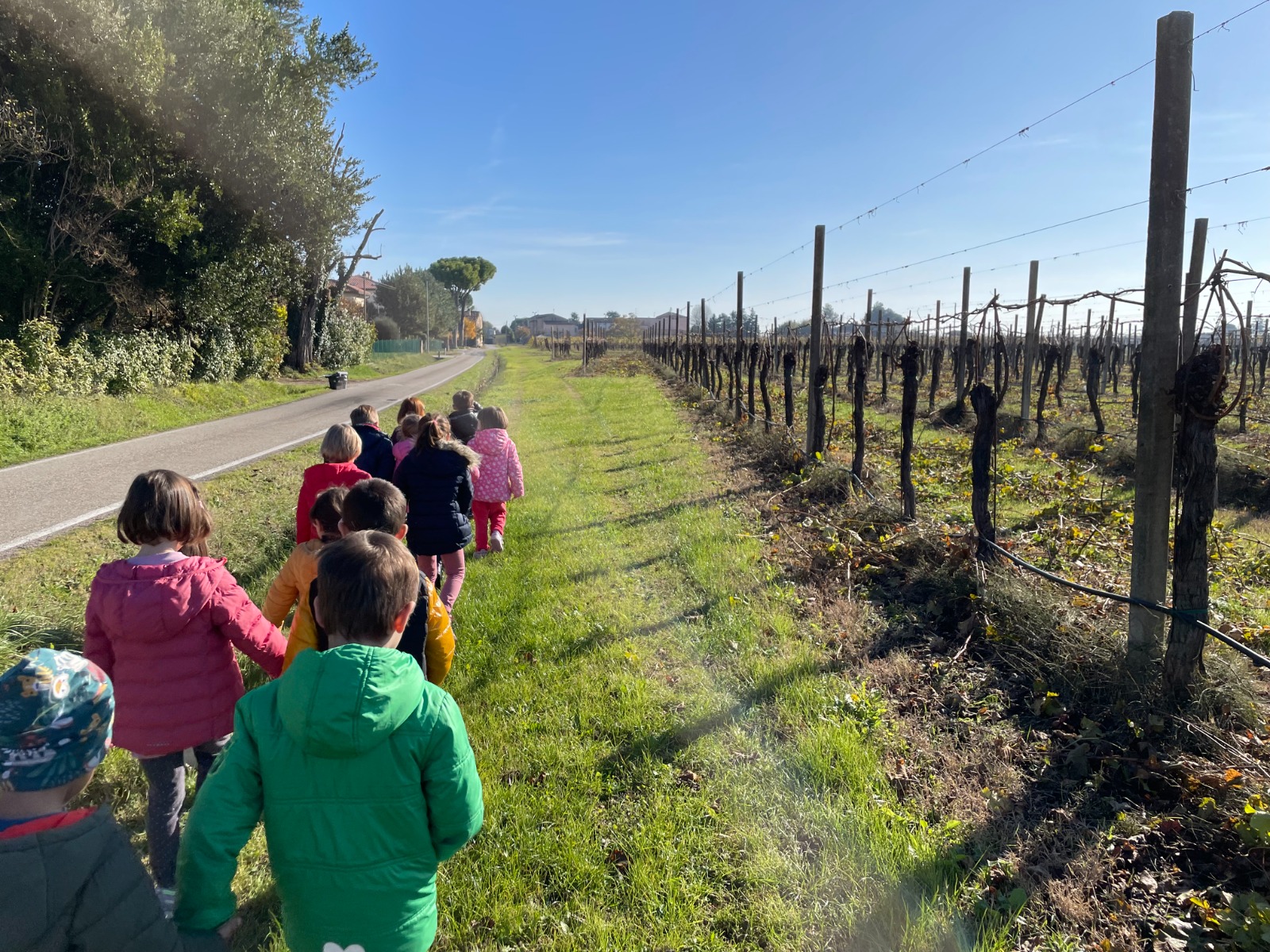 Dettaglio fotografico della Scuola dell'Infanzia